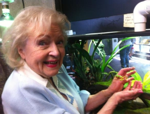 Betty White Was the Subject of a Death Hoax