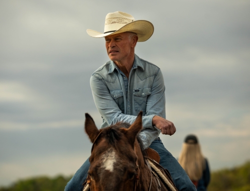 The Last Rodeo